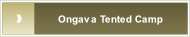 Ongava Tented Camp.